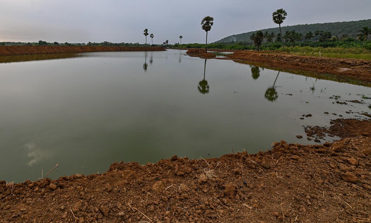 कंबाला गांव में पुनर्जीवित देवरावानी चेरुवु का दृश्य। कंबाला गांव में पुनर्जीवित देवरावानी चेरुवु का दृश्य।