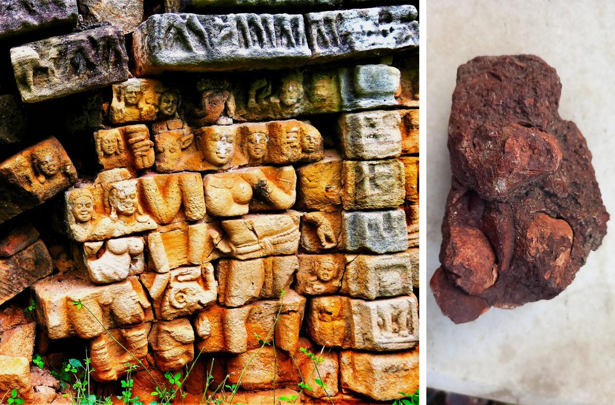 (बाएं से) कोथुरु में देवनिगुट्टा पर अर्धनेरेशवारा और केरेमी में पाए गए जीवाश्म  