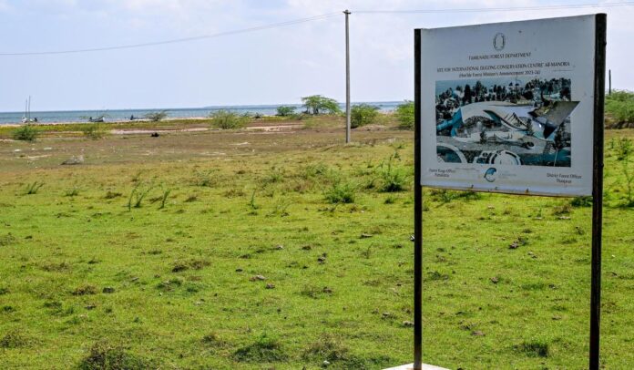 बिग पुश: राज्य ने पॉक बे के साथ थाजावुर में मनोरा में एक अंतरराष्ट्रीय डगोंग संरक्षण केंद्र स्थापित करने का फैसला किया है। केंद्र सूचना और गतिविधि और एक इको-टूरिज्म साइट का एक केंद्र होगा।