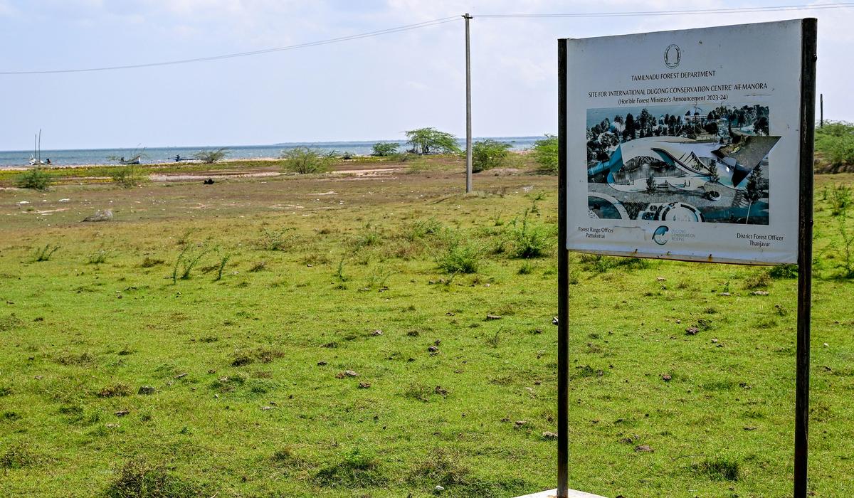 बिग पुश: राज्य ने पॉक बे के साथ थाजावुर में मनोरा में एक अंतरराष्ट्रीय डगोंग संरक्षण केंद्र स्थापित करने का फैसला किया है। केंद्र सूचना और गतिविधि और एक इको-टूरिज्म साइट का एक केंद्र होगा।