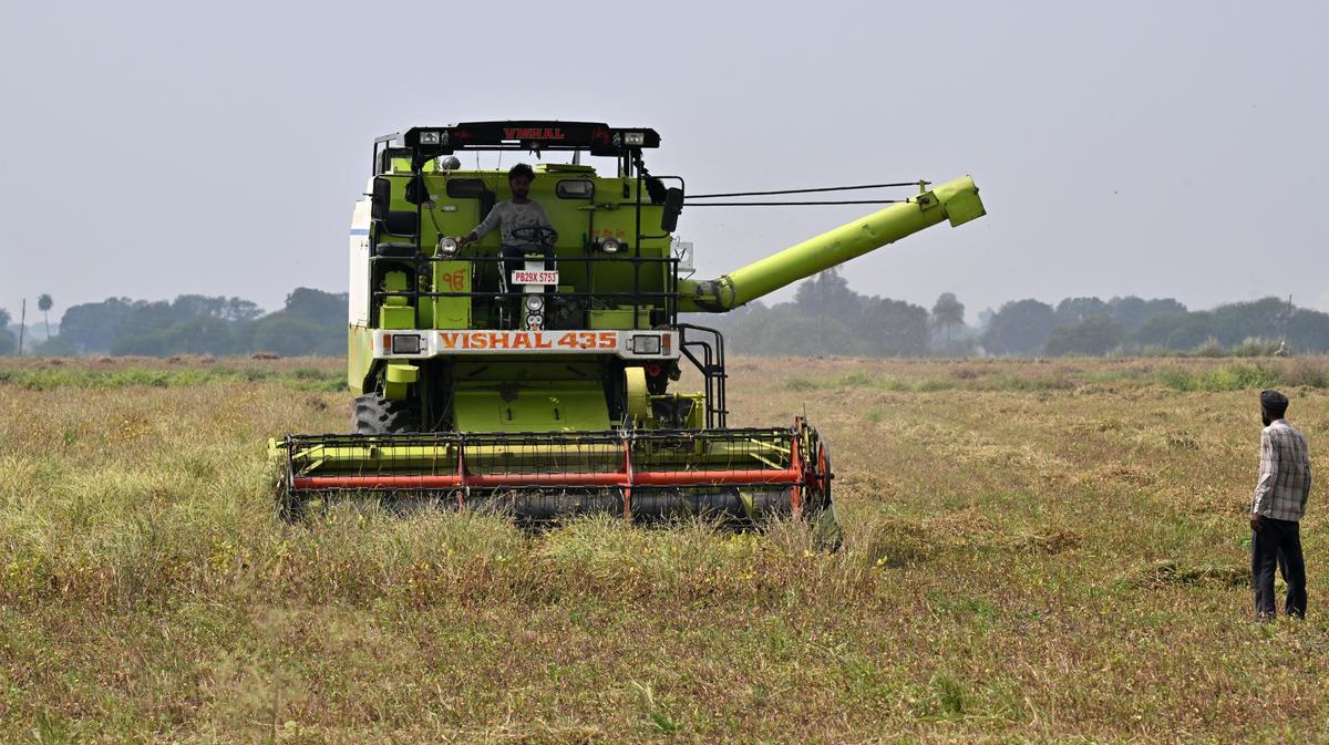 The harvesting of soy crop in the Murad Pura area in Madhya Pradesh