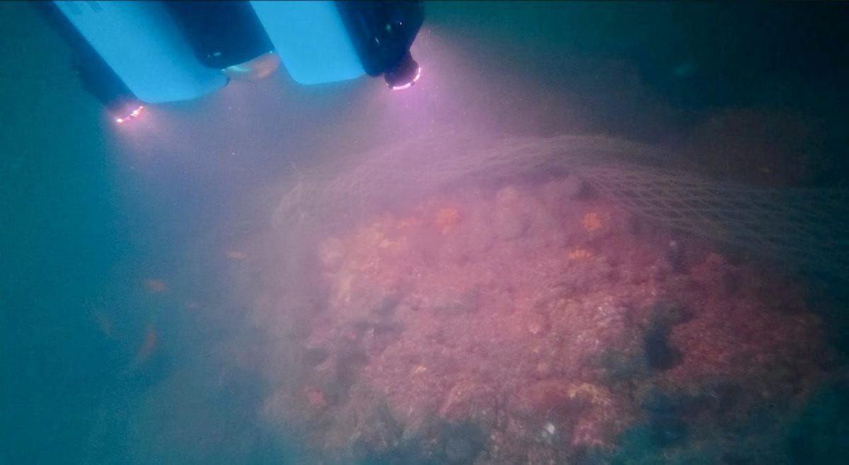 टीम ने उन्नत समुद्री अन्वेषण उपकरणों का उपयोग करके 23 मीटर की गहराई तक समुद्र तल का सर्वेक्षण किया। इन उपकरणों ने समुद्र तल का मानचित्रण करने और संरचनात्मक विसंगतियों का पता लगाने में मदद की। 