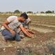 Tightening the opium belt in Madhya Pradesh