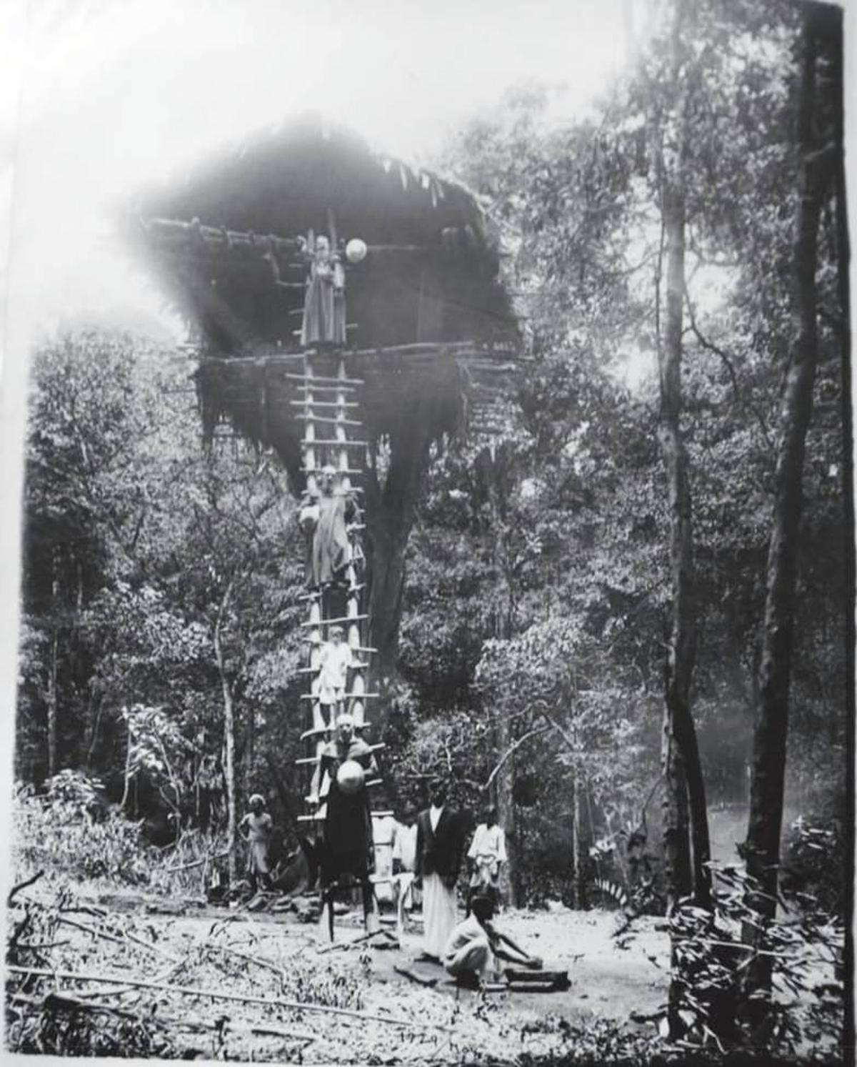 1929 में मुन्नार के पास पल्लीवासल में एक पेड़ का घर। मिशनरियों द्वारा ली गई एक तस्वीर। 