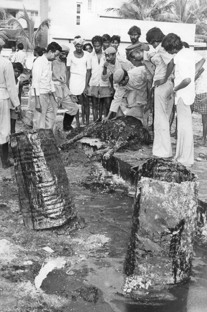 4 जुलाई, 1981 को अन्ना नगर में चौथी मुख्य सड़क के फुटपाथ पर एक खाई में जमा तारकोल के पूल में फंसने के बाद एक भैंस को बचा लिया गया था। 