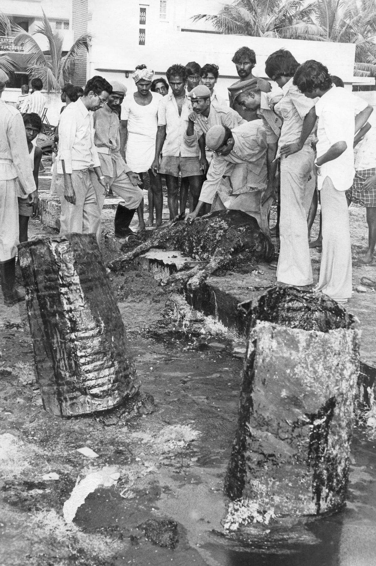 4 जुलाई, 1981 को अन्ना नगर में चौथी मुख्य सड़क के फुटपाथ पर एक खाई में जमा तारकोल के पूल में फंसने के बाद एक भैंस को बचा लिया गया था। 4 जुलाई, 1981 को अन्ना नगर में चौथी मुख्य सड़क के फुटपाथ पर एक खाई में जमा तारकोल के पूल में फंसने के बाद एक भैंस को बचा लिया गया था।