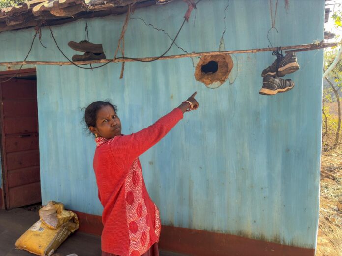 Alka points to the damage caused to her house by the elephant.