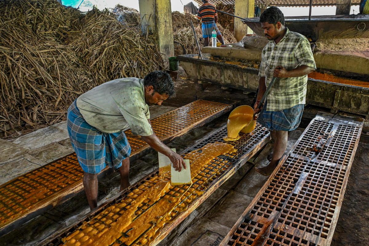 तंजावुर के पास एक पारंपरिक कार्यशाला में श्रमिक गर्म गुड़ की चाशनी को लकड़ी के सांचों में डालते और समतल करते हैं। 