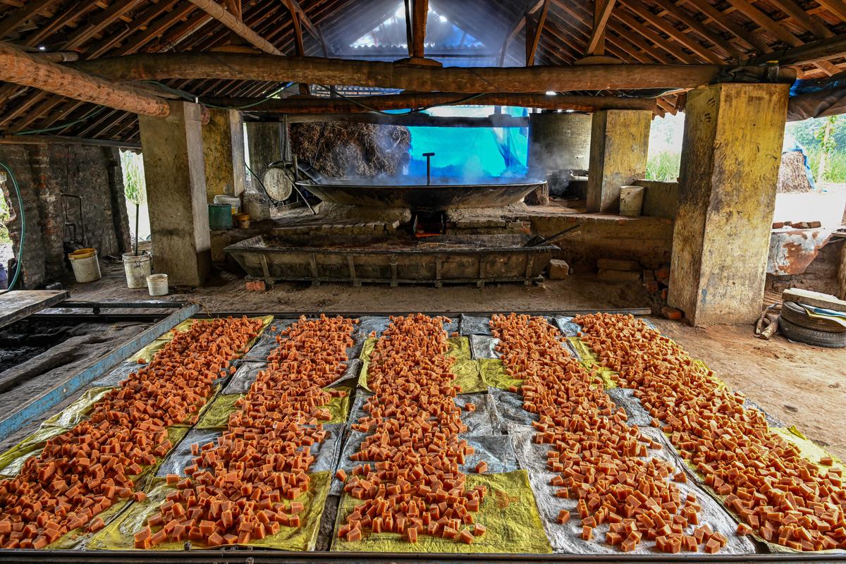 पारंपरिक रूप से ढाले गए अचू वेल्लम (गुड़) के क्यूब्स की पंक्तियाँ ठंडी होने के लिए रखी गई हैं।