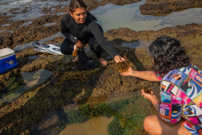 गैब्रिएला 