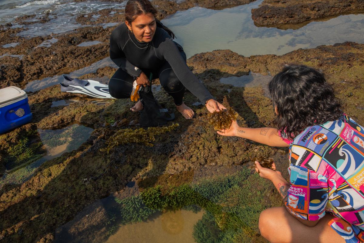 गैब्रिएला गैब्रिएला